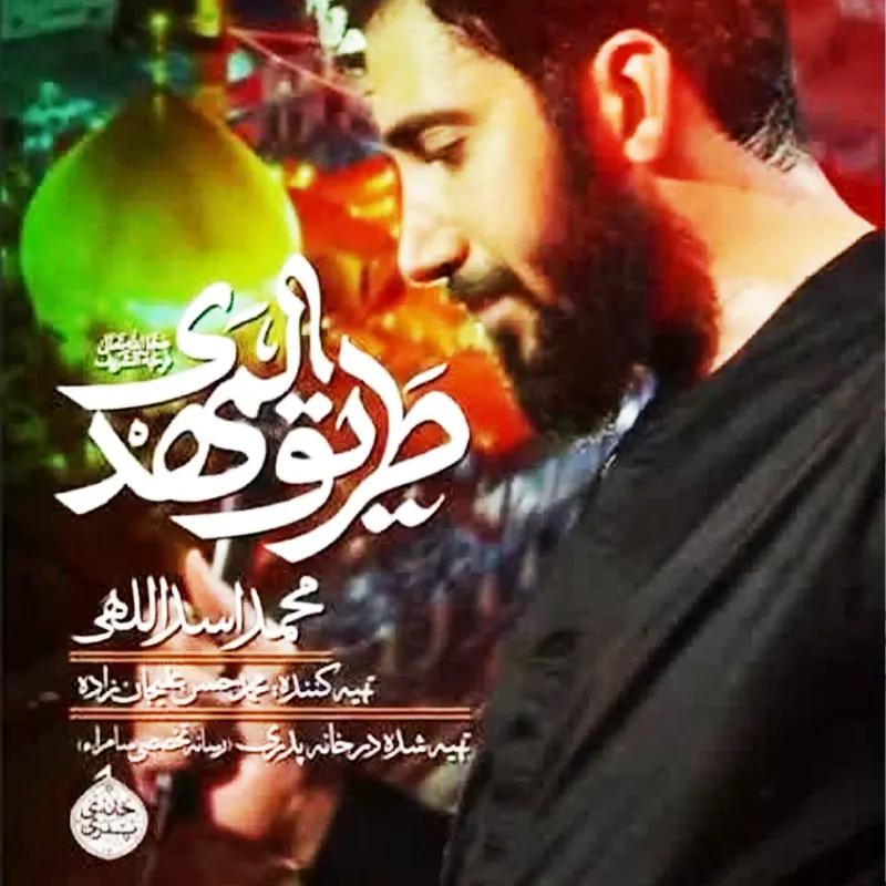 طریق المهدی