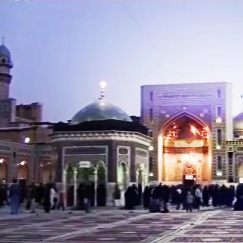 رضا رضا