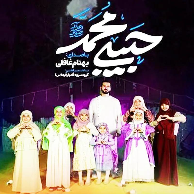 حبیبی محمد