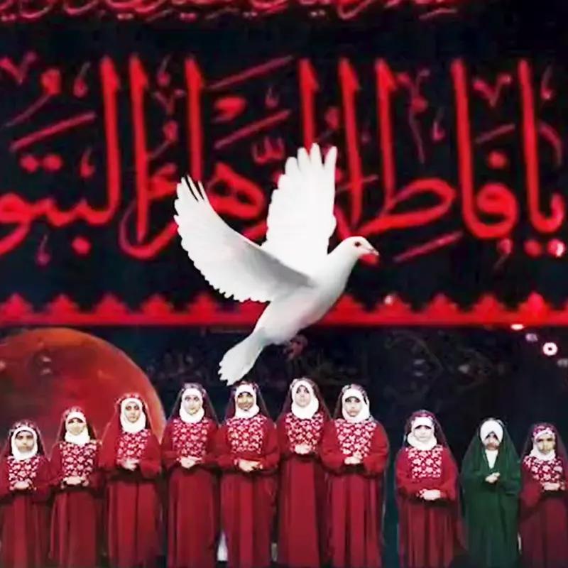 نگار علی