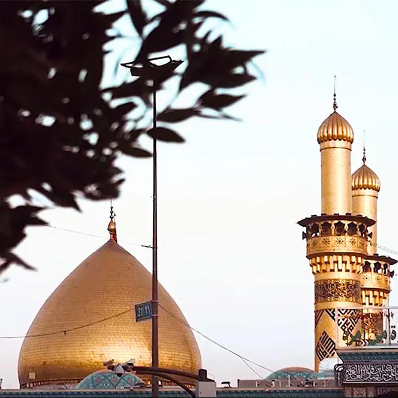 شاه دلها