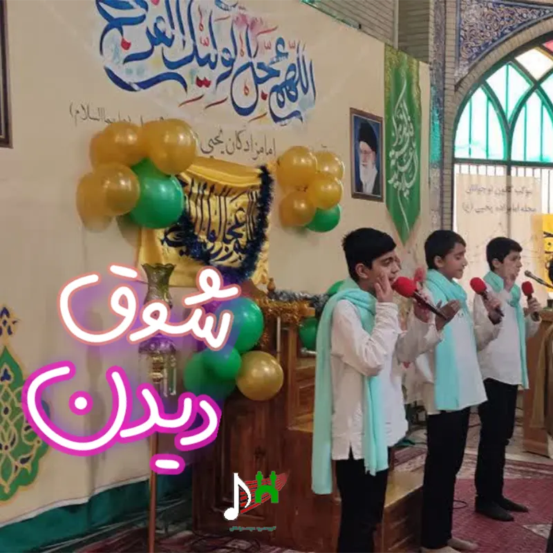 شوق دیدن