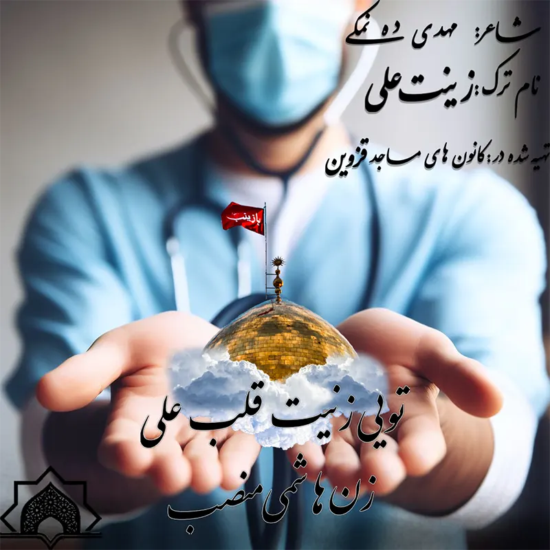 زینت علی