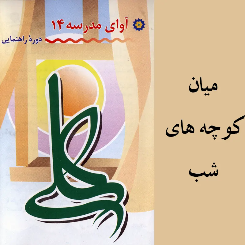 میان کوچه های شب