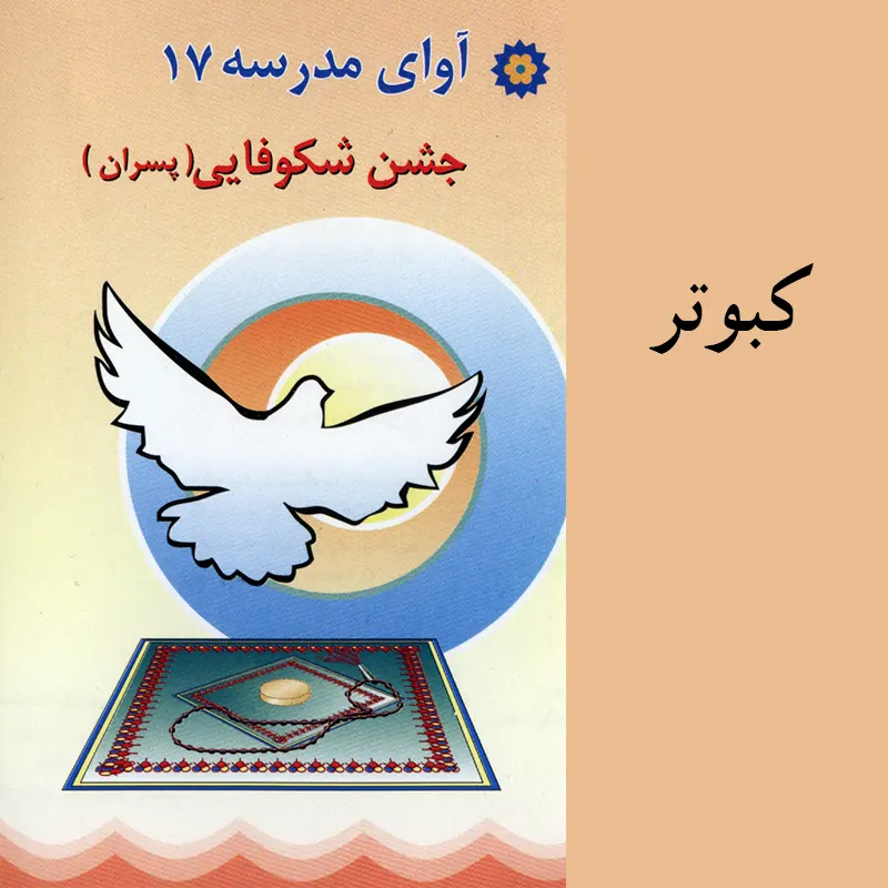 کبوتر