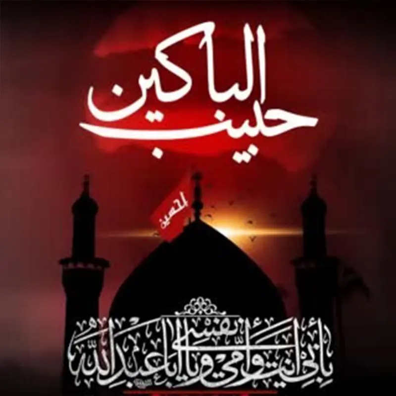 حبیب الباکین