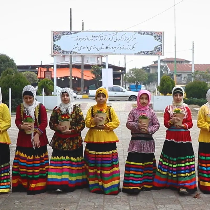 سایه پرچم