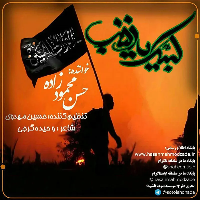 لبیک یا زینب